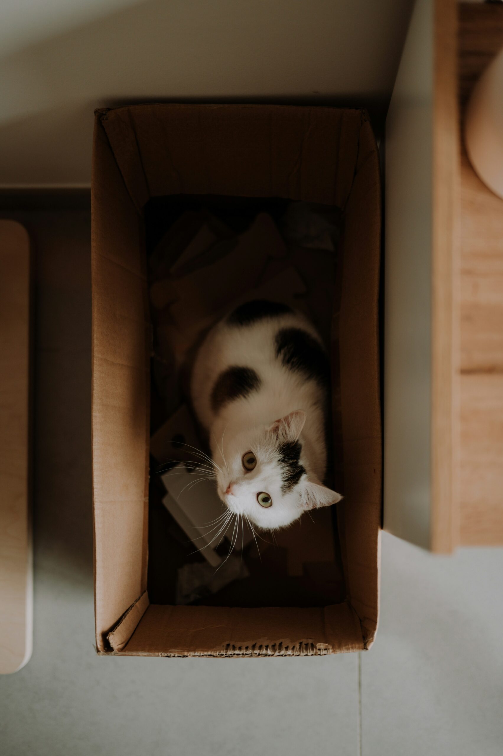 How to Know When You Need a Bigger Home